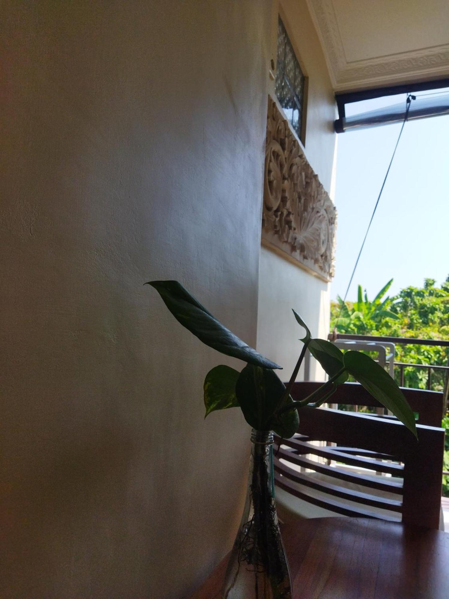 Hotel Wahwik'S House à Ubud Extérieur photo